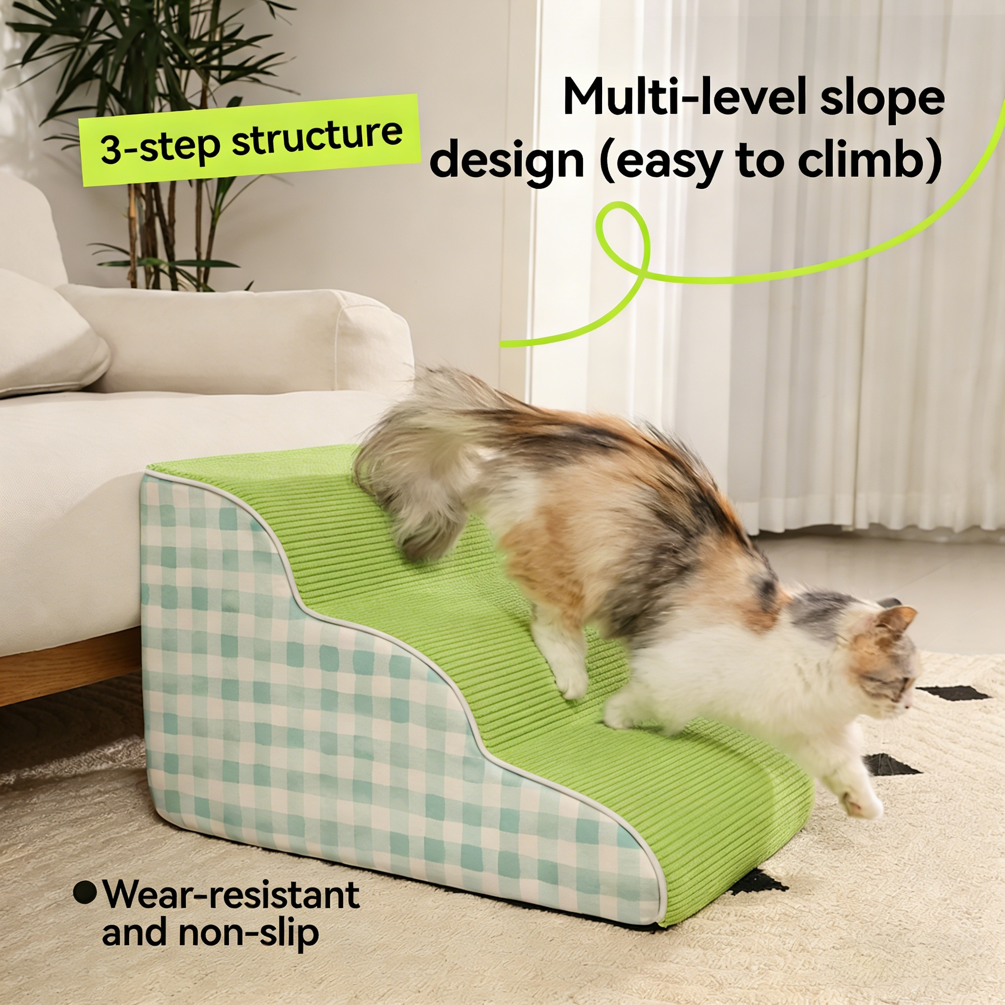 Green Cat Step green cat step