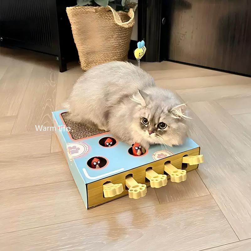Game Cat Toy Box green cat step