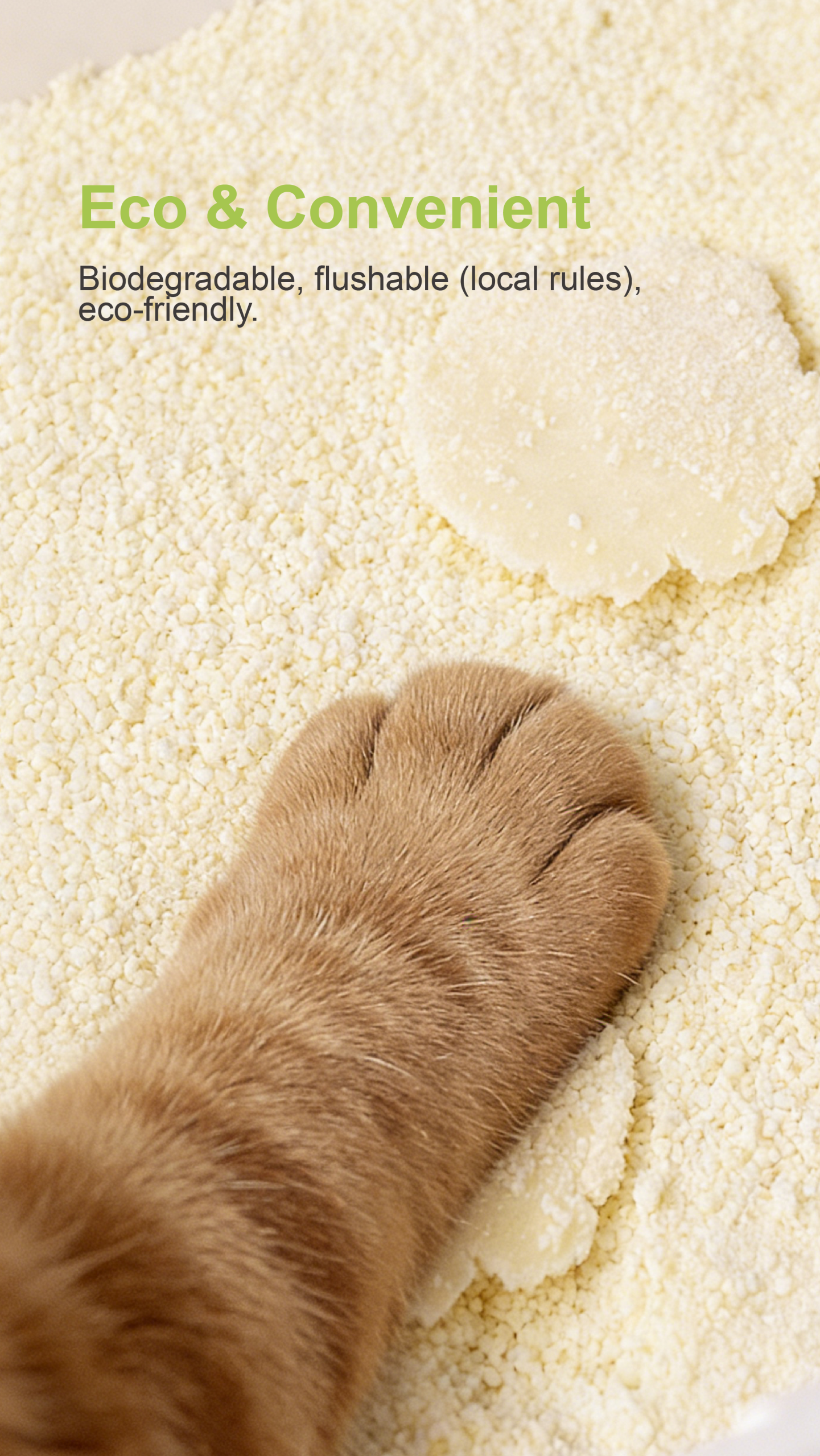 tofo cat litter