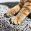 tofo cat litter